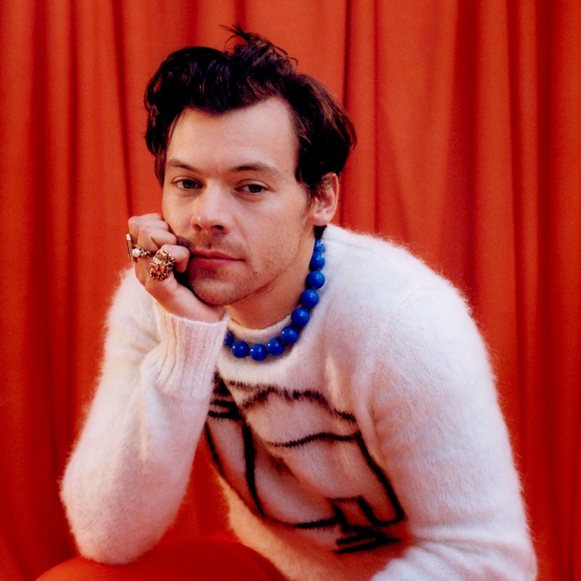 Translation missing: it.Harry Styles: Harry Styles