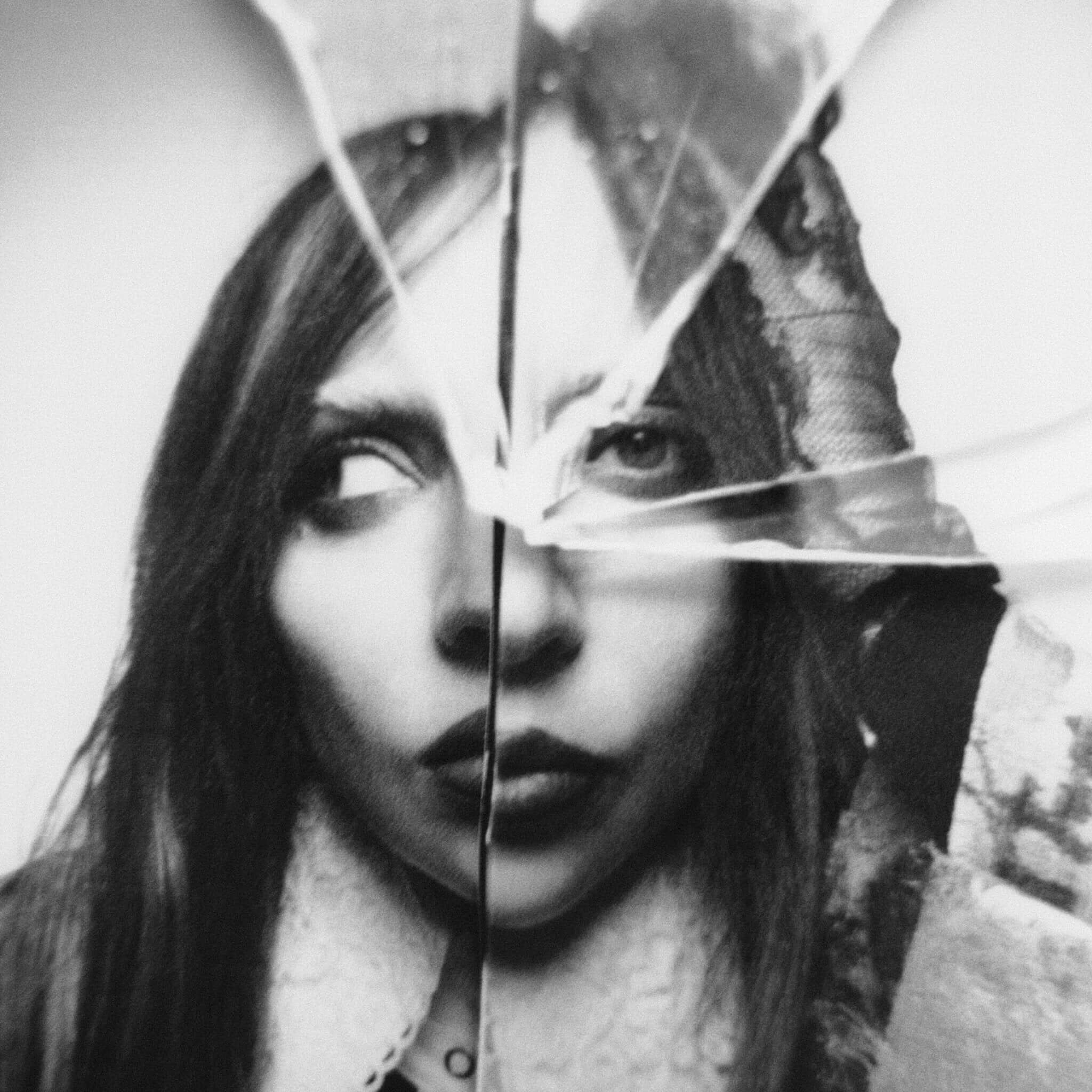 Translation missing: it.Lady Gaga - Plastic Books: Lady Gaga