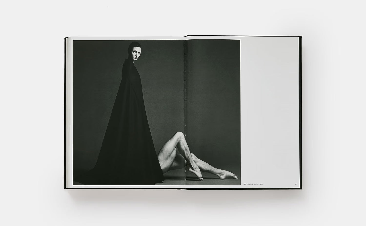 Luigi & Iango: Unveiled – Plastic Books
