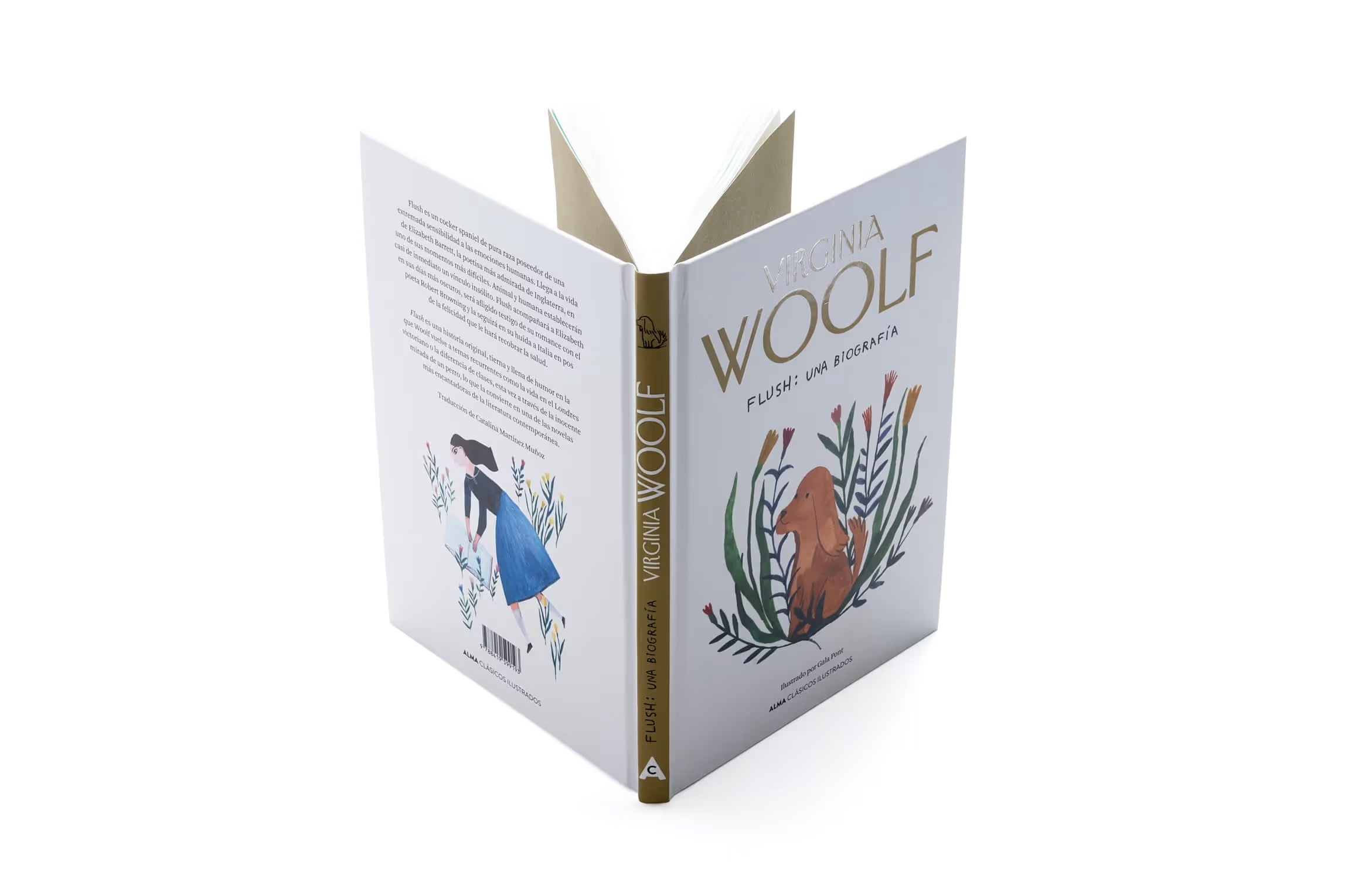 Flush: Una Biografía – Plastic Books