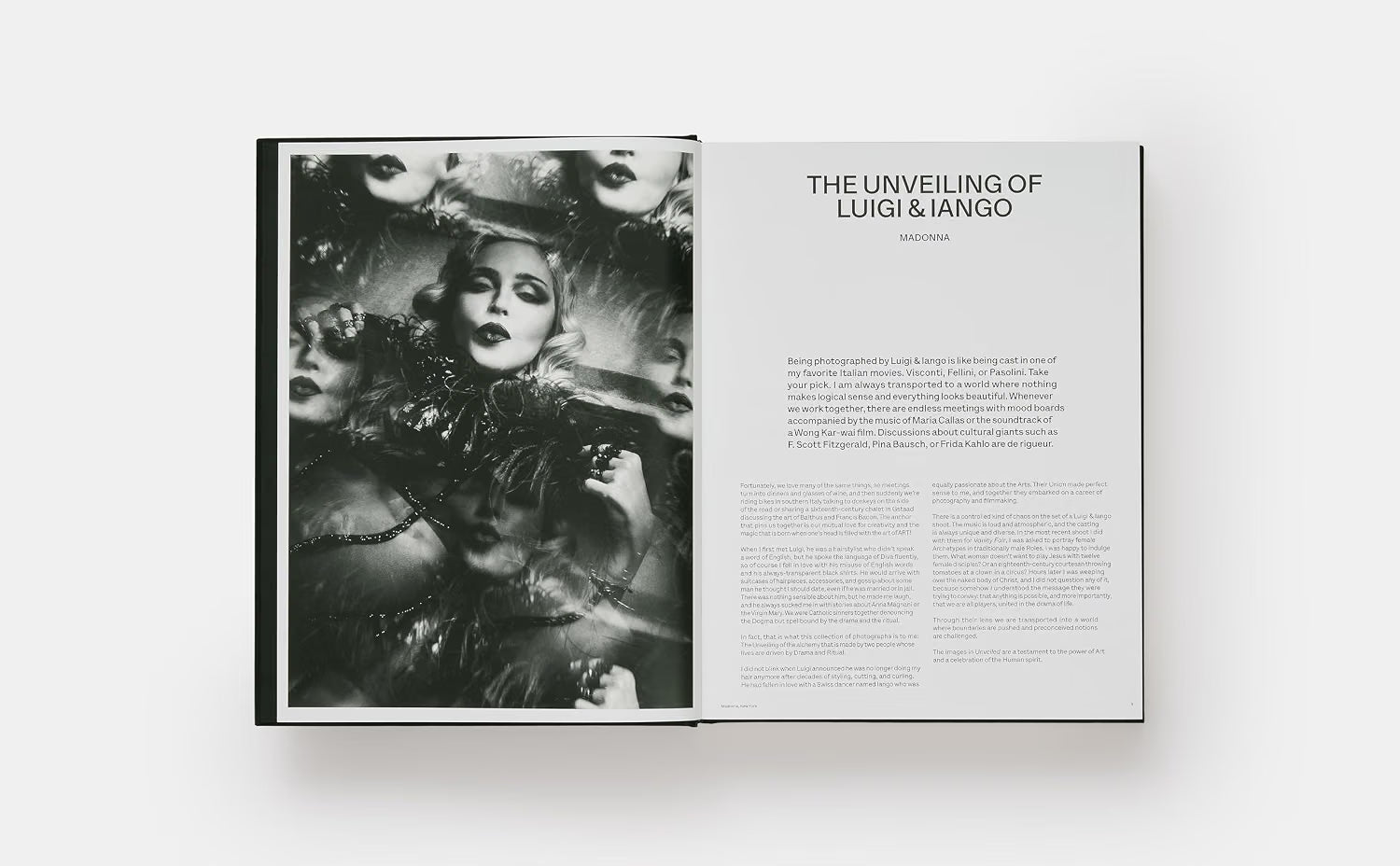Luigi & Iango: Unveiled – Plastic Books