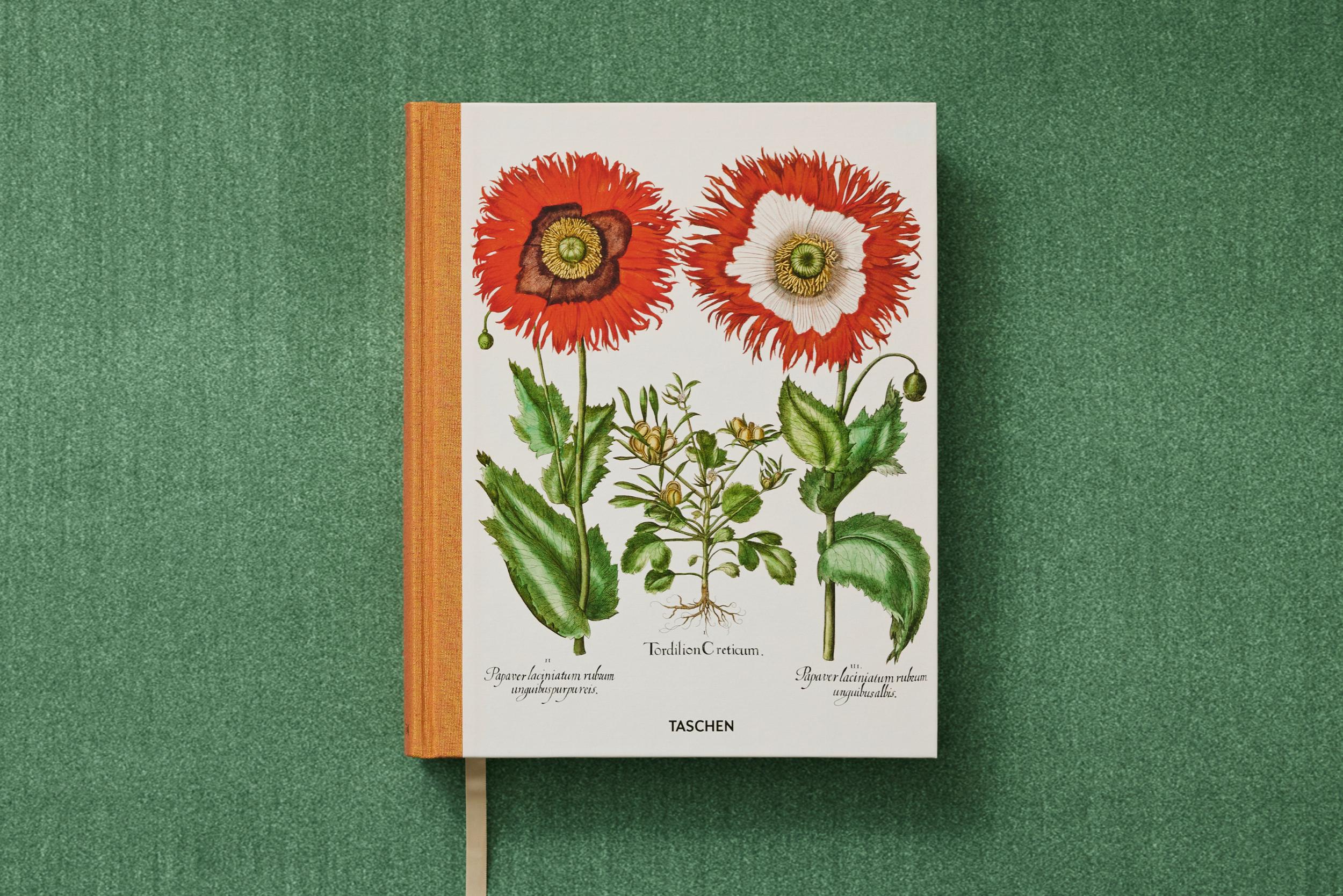Basilius Besler. The Garden at Eichstätt – Plastic Books