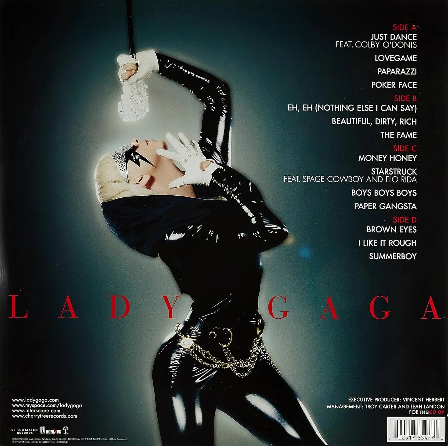 The Fame (2LP) – Plastic Books