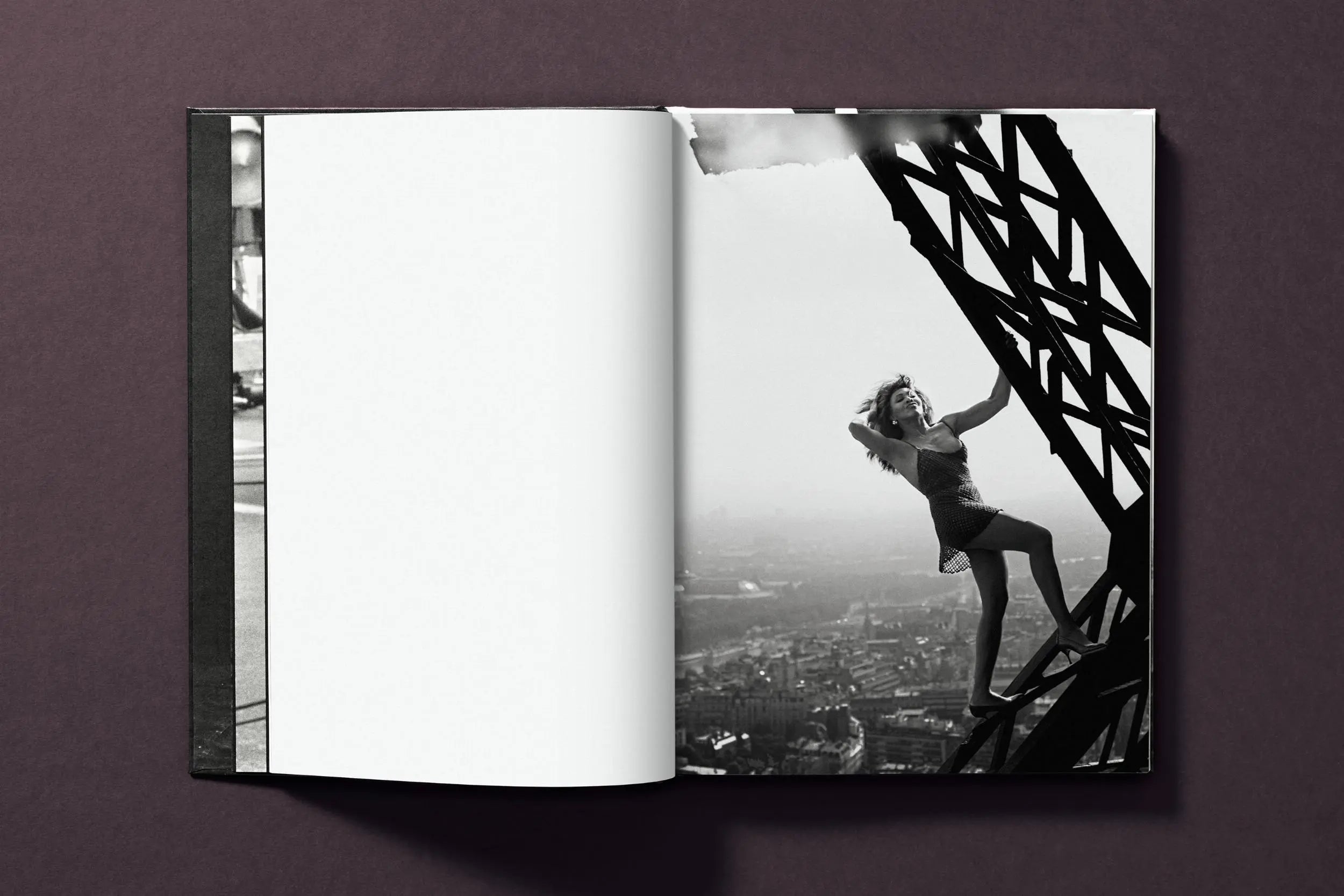 Tina Turner by Peter Lindbergh – Plastic Books